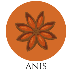 Icon einer Sternanisblüte – Gewürzkarte Hinweis auf Anis.