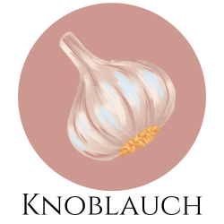 Icon einer Knoblauchknolle – Gewürzkarte Hinweis auf Knoblauch.