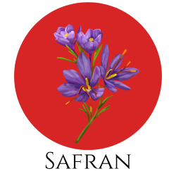 Icon einer lila Safranblüte – Gewürzkarte Hinweis auf Safran