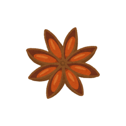 Sternanis Icon