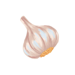 Knoblauch Icon