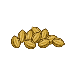 Koriander Icon