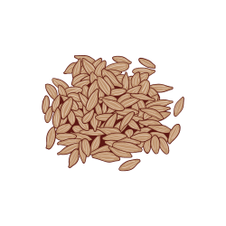 Kümmel Icon