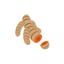 Kurkuma Icon