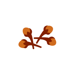 Nelken Icon