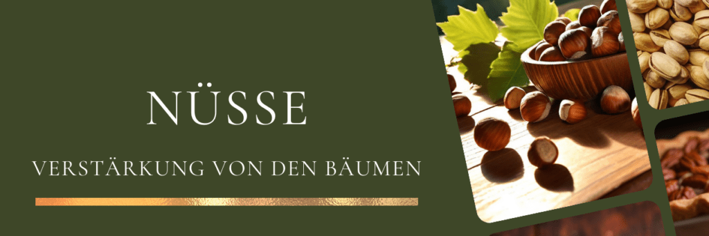 Bilder von Haselnüssen und Pistazien.