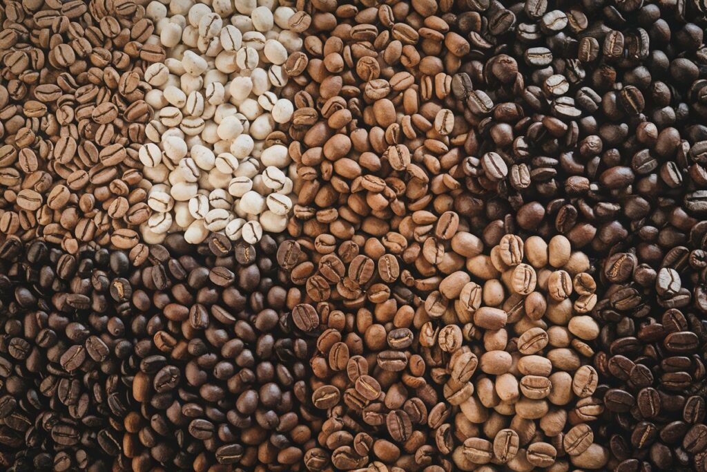 Verschiedene Kaffeesorten nebeneinander, farblich variierend und übersichtlich angeordnet.