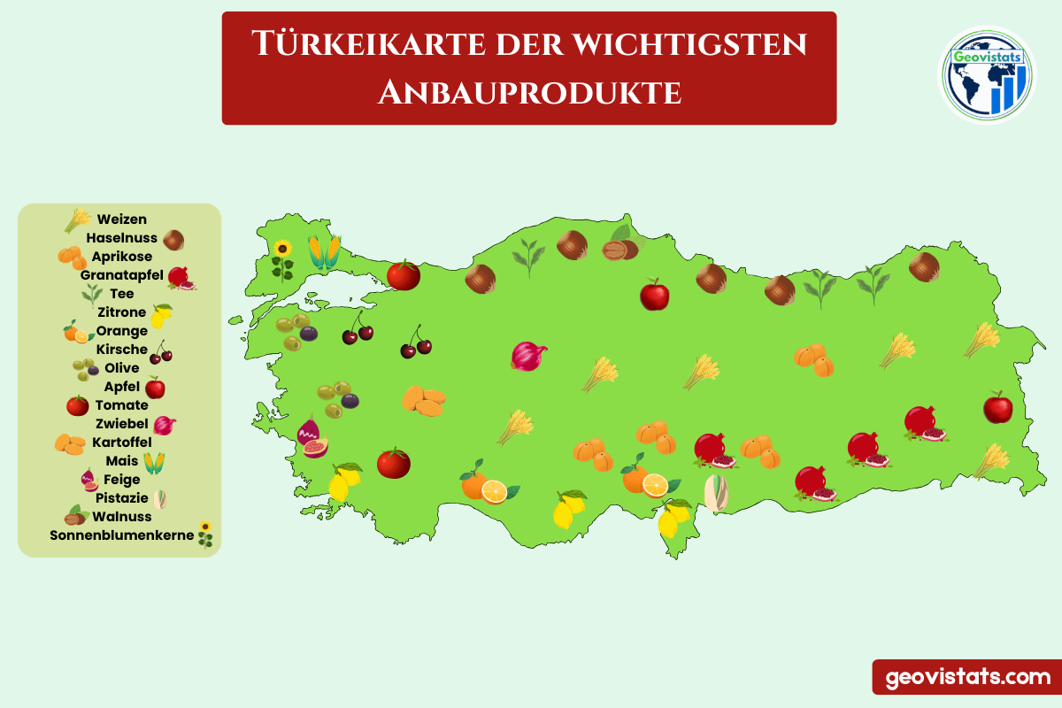 Karte der Türkei mit den wichtigsten landwirtschaftlichen Anbauprodukten nach Regionen, darunter Haselnüsse, Weizen, Zitrusfrüchte und Aprikosen